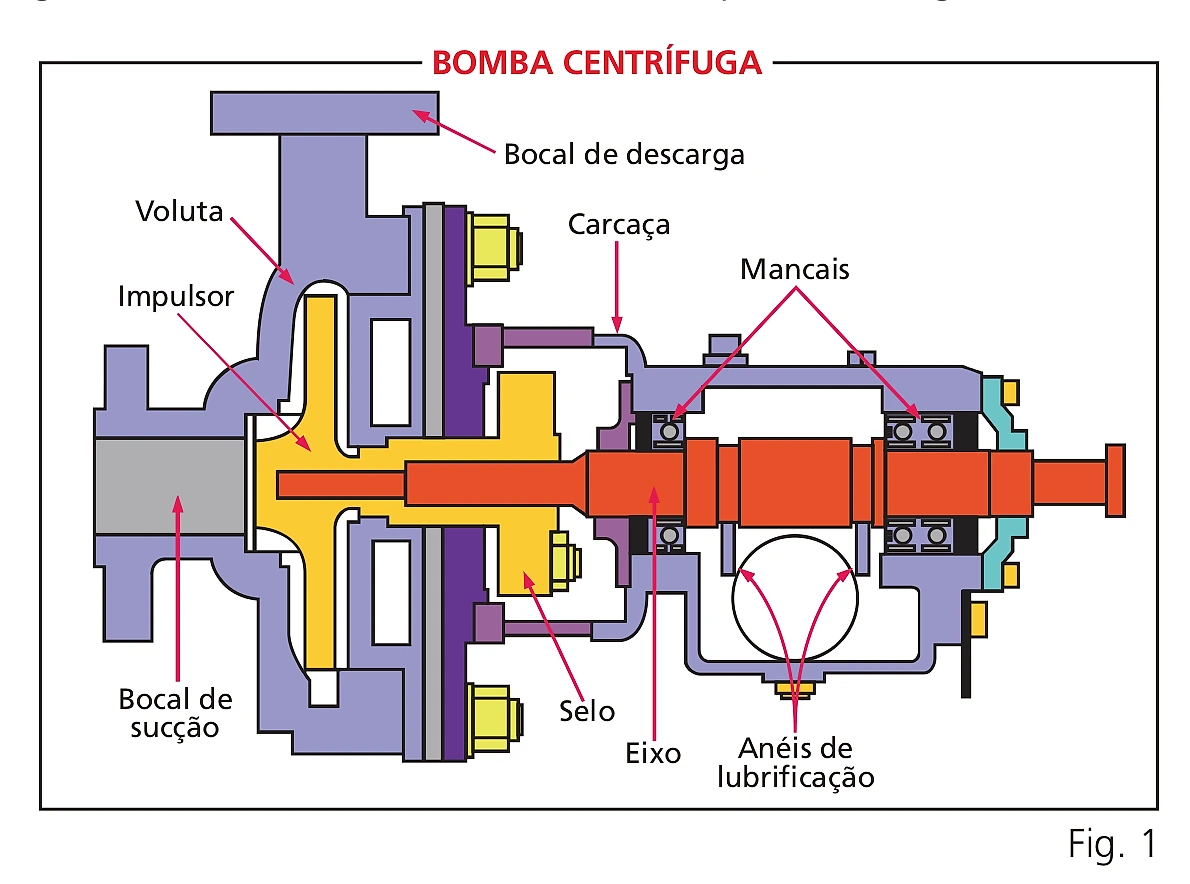 Corte de uma bomba centrífuga